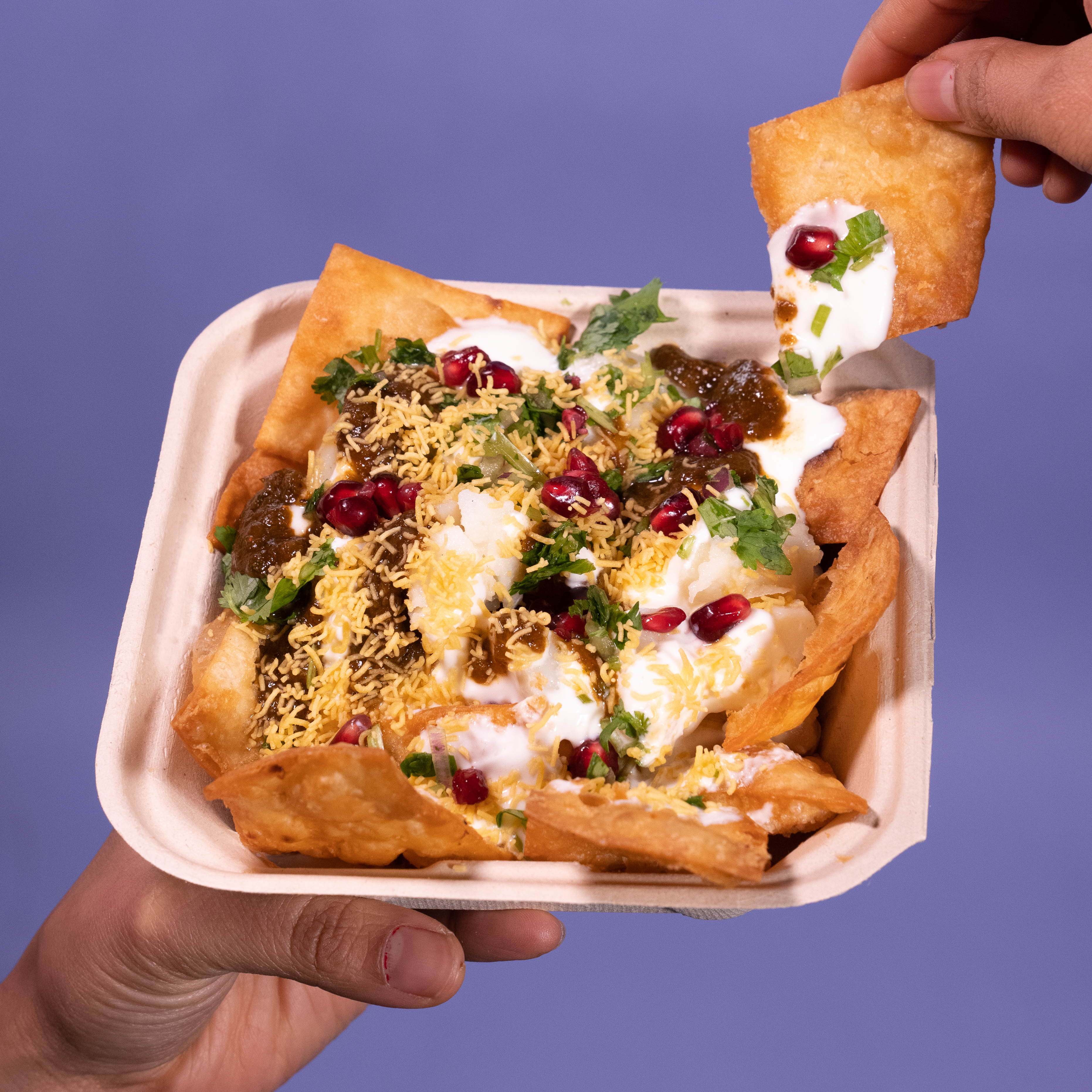 Snack Papdi Chaat