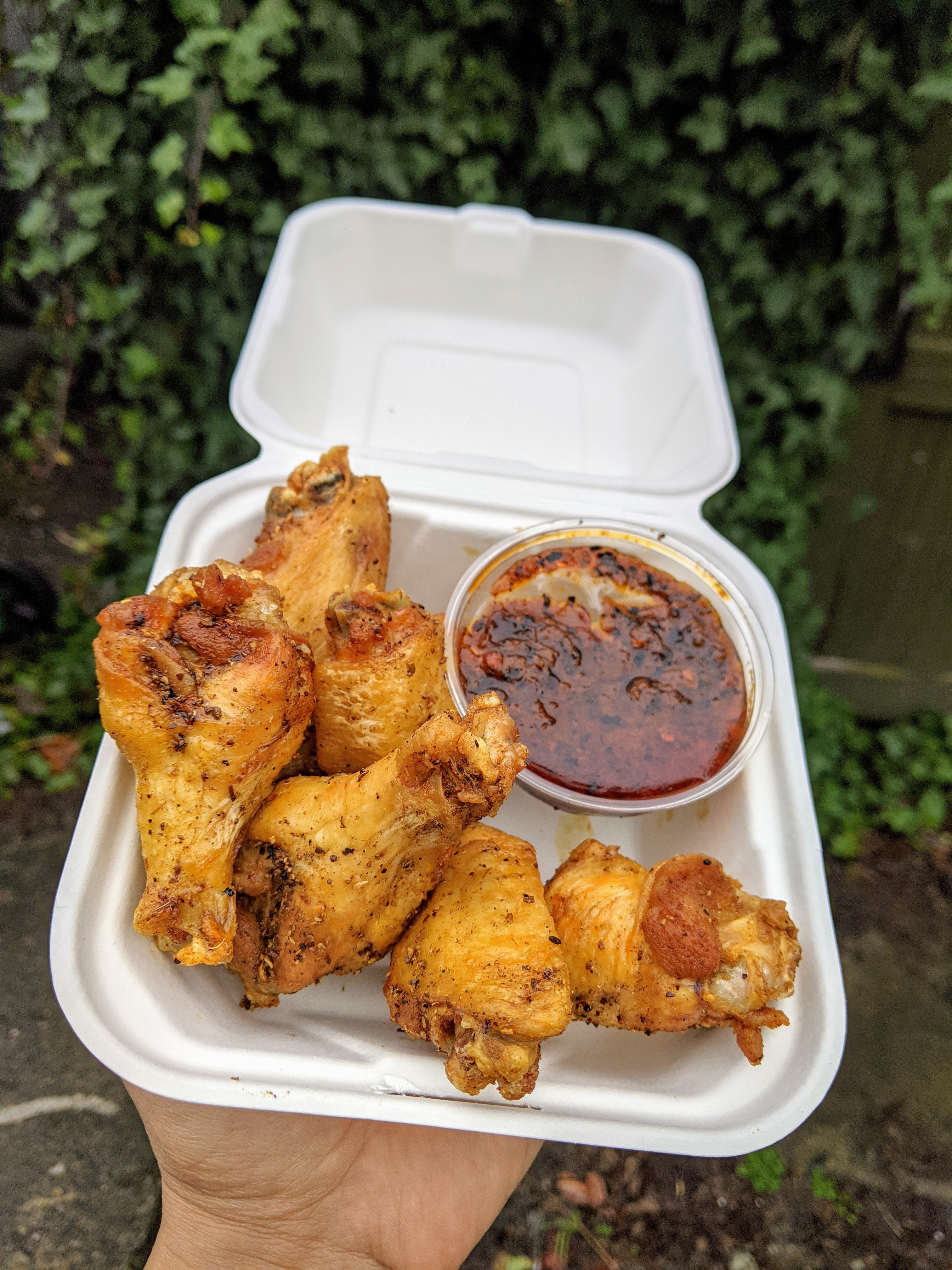 Special Chicken Wings